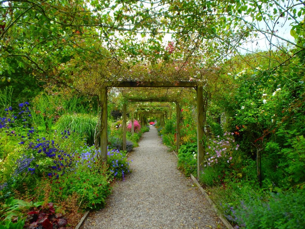 the herbaceous borders at blarney castle