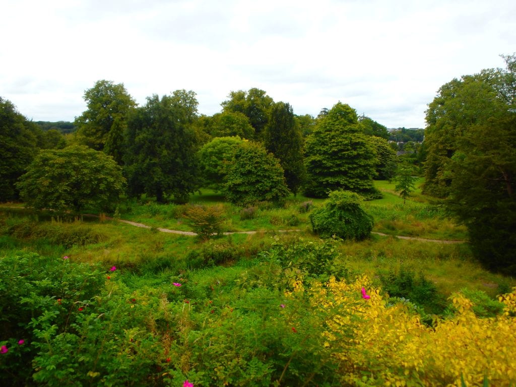 the greenery at Blarney castle and gardens