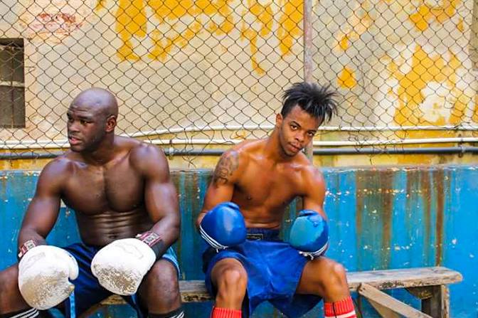 cuban boxing club havana