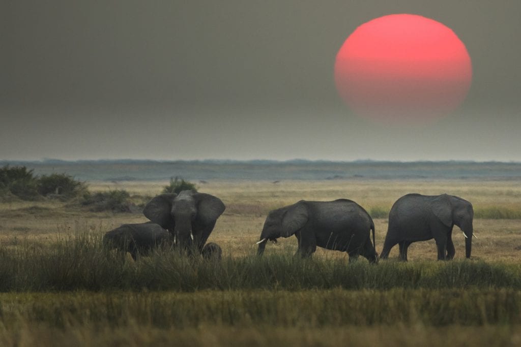 sunset okavango delta