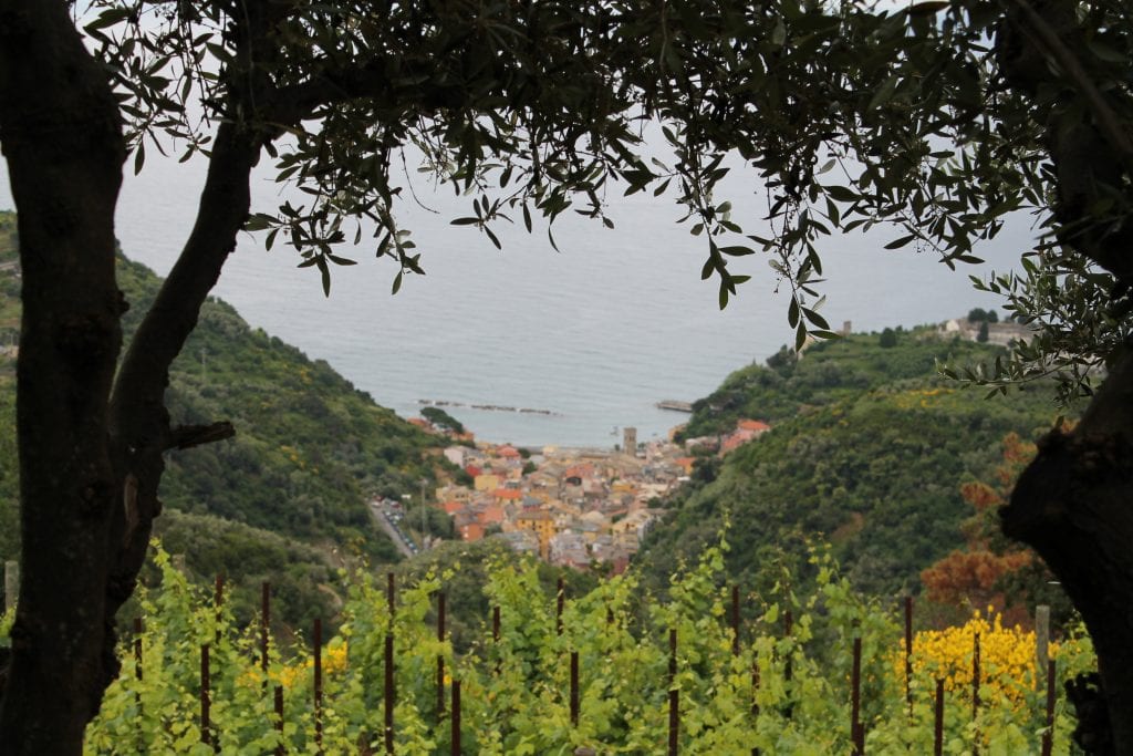 view of monterosso al mare