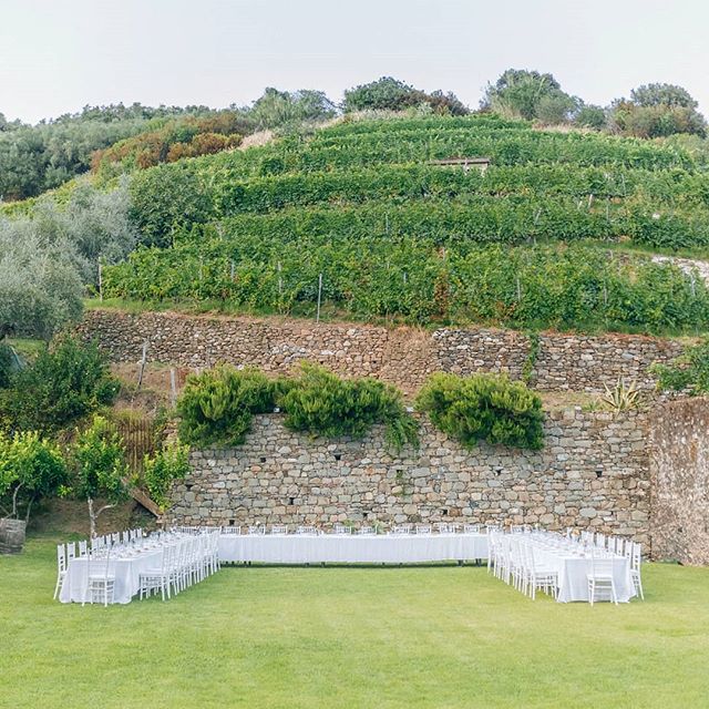 buranco vineyard wedding