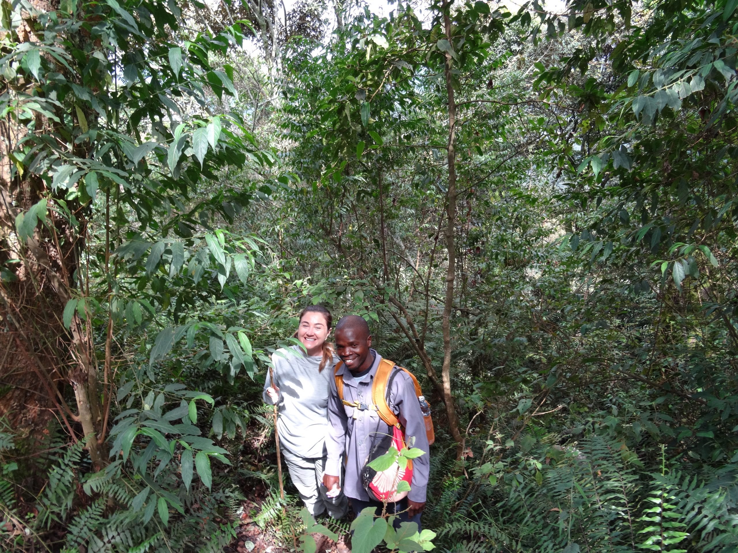 local guide gorilla trekking uganda