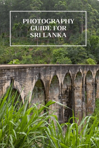 The ultimate 7 day Sri Lanka itinerary for those seeking an adventure! Highlights include seeing a baby elephant in the wild and magical beach sunsets!