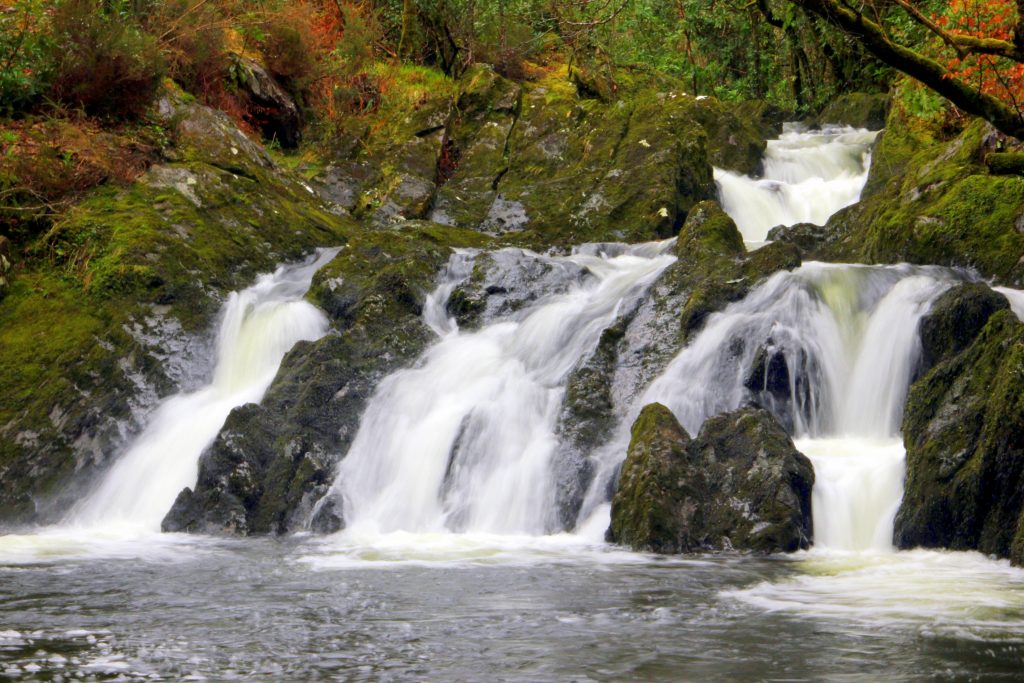 waterfall in glengarriff woods